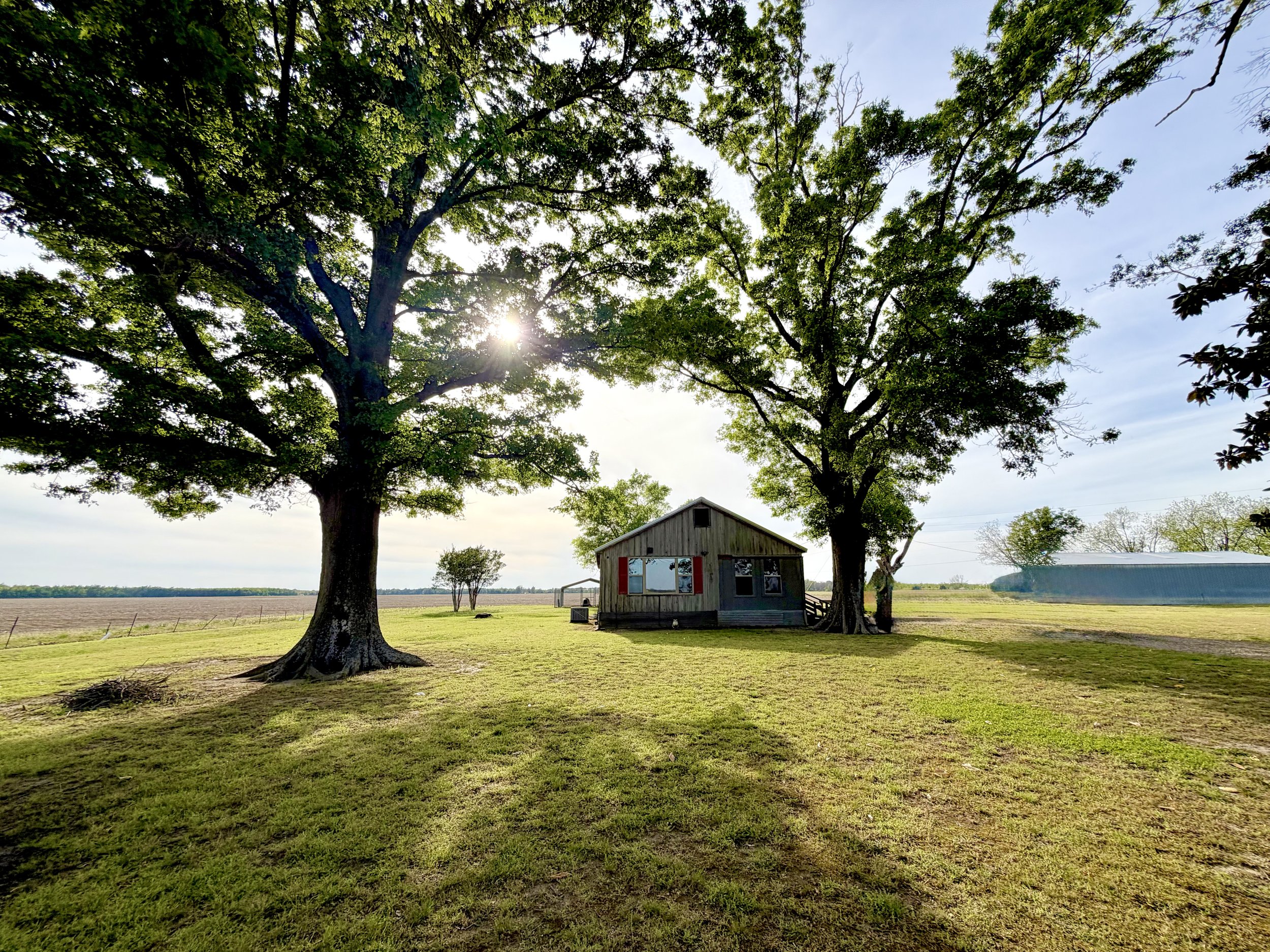 26 Andrews Rd.   Merigold, MS 38759