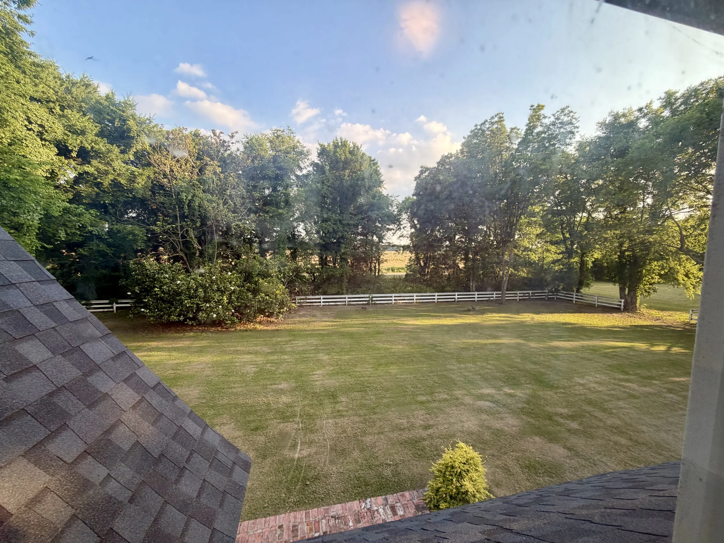 IMG_1842.jpeg