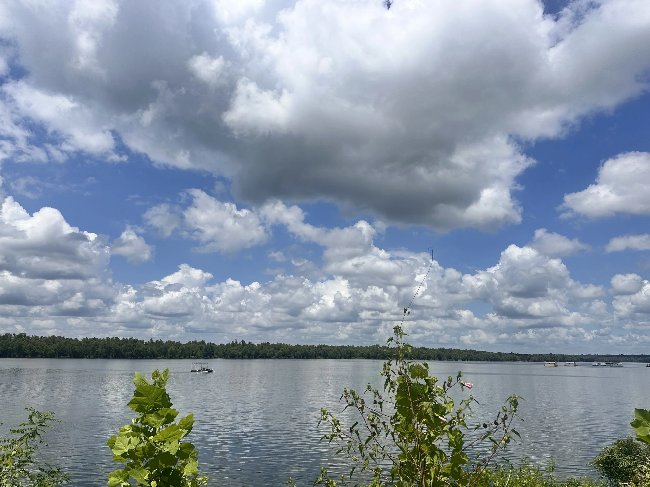 NEW PRICE! 2 Vacant Lots on LAKESHORE DRIVE, Benoit, MS  (behind levee and the BOC gate)