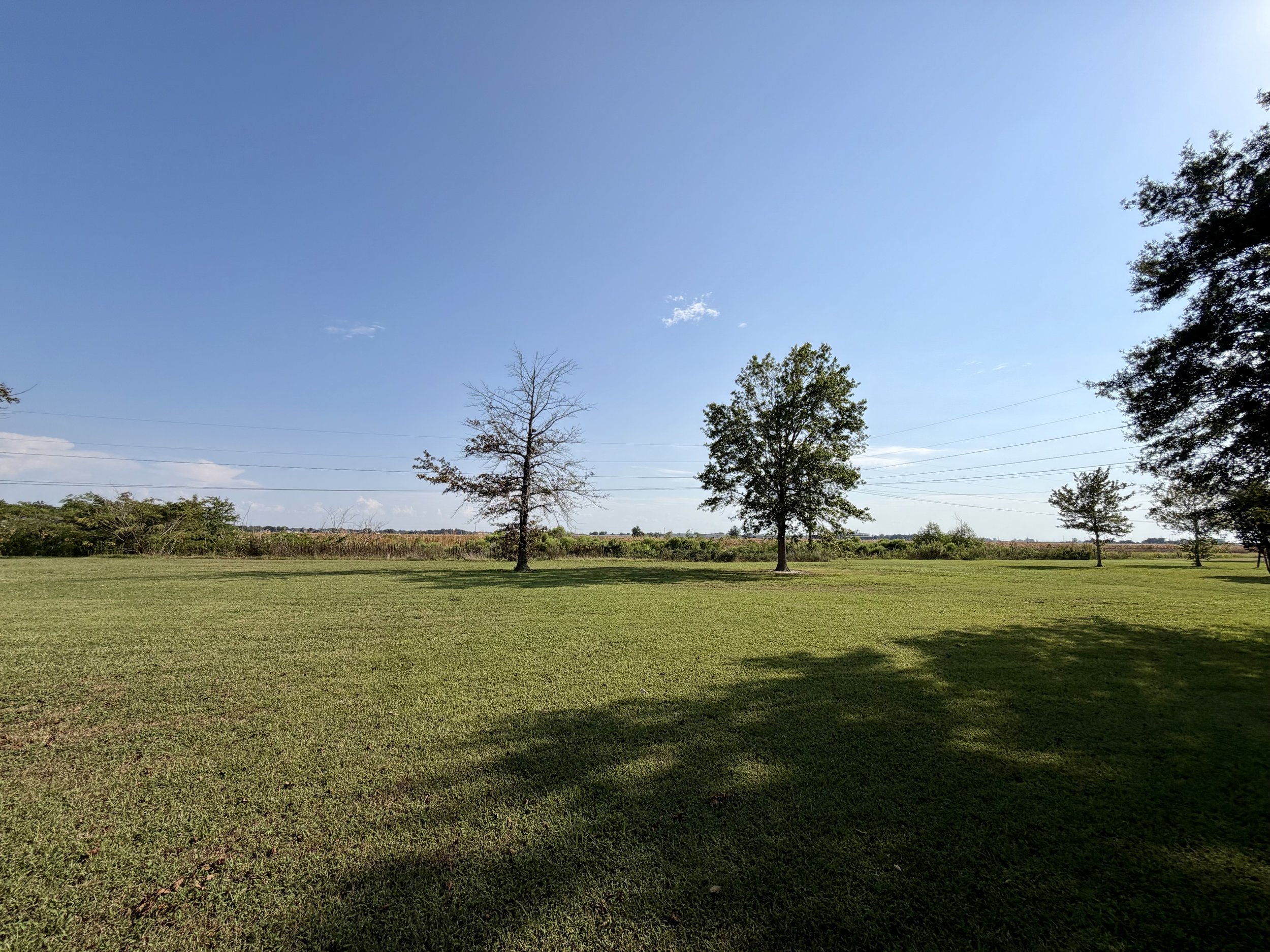 IMG_5187.jpeg