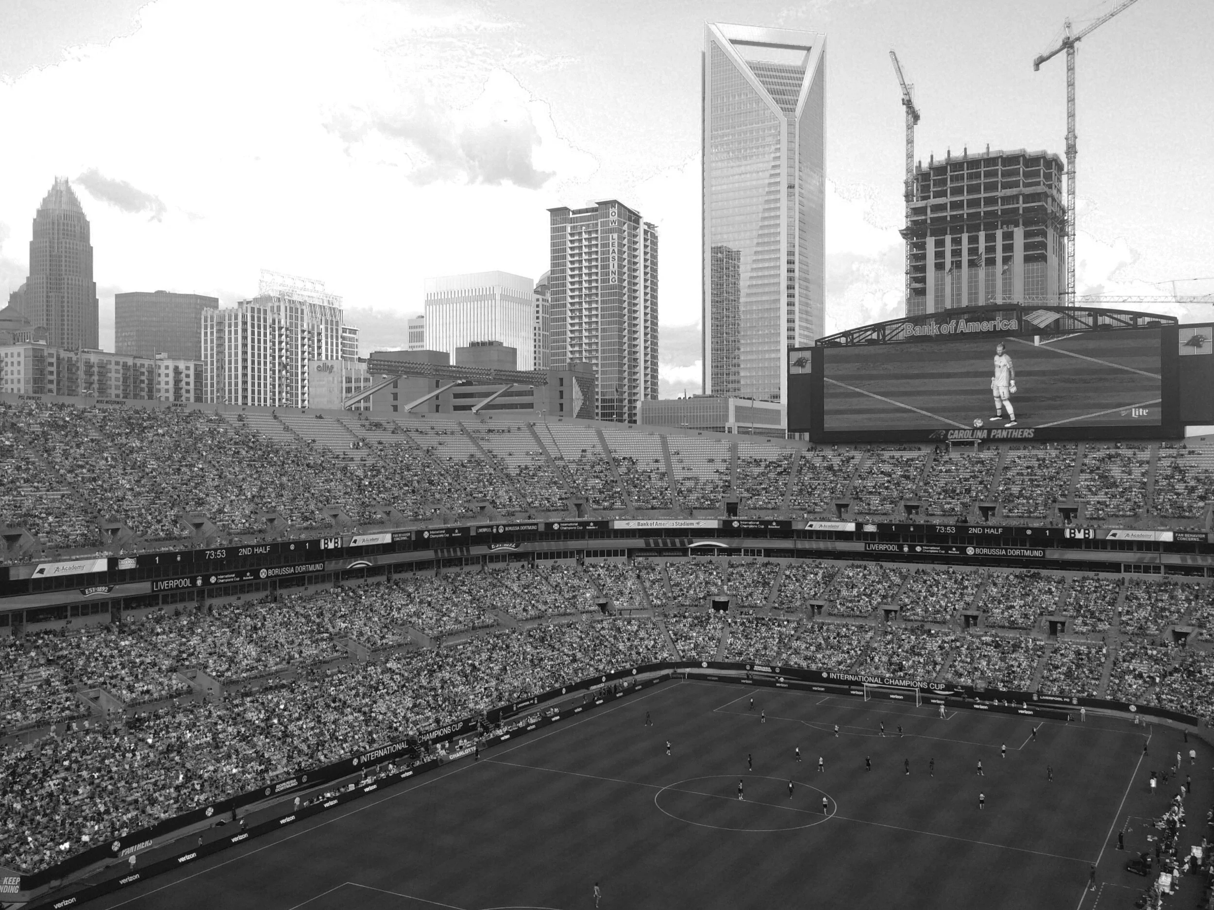 IMG_0948 - Copy - gray.jpg