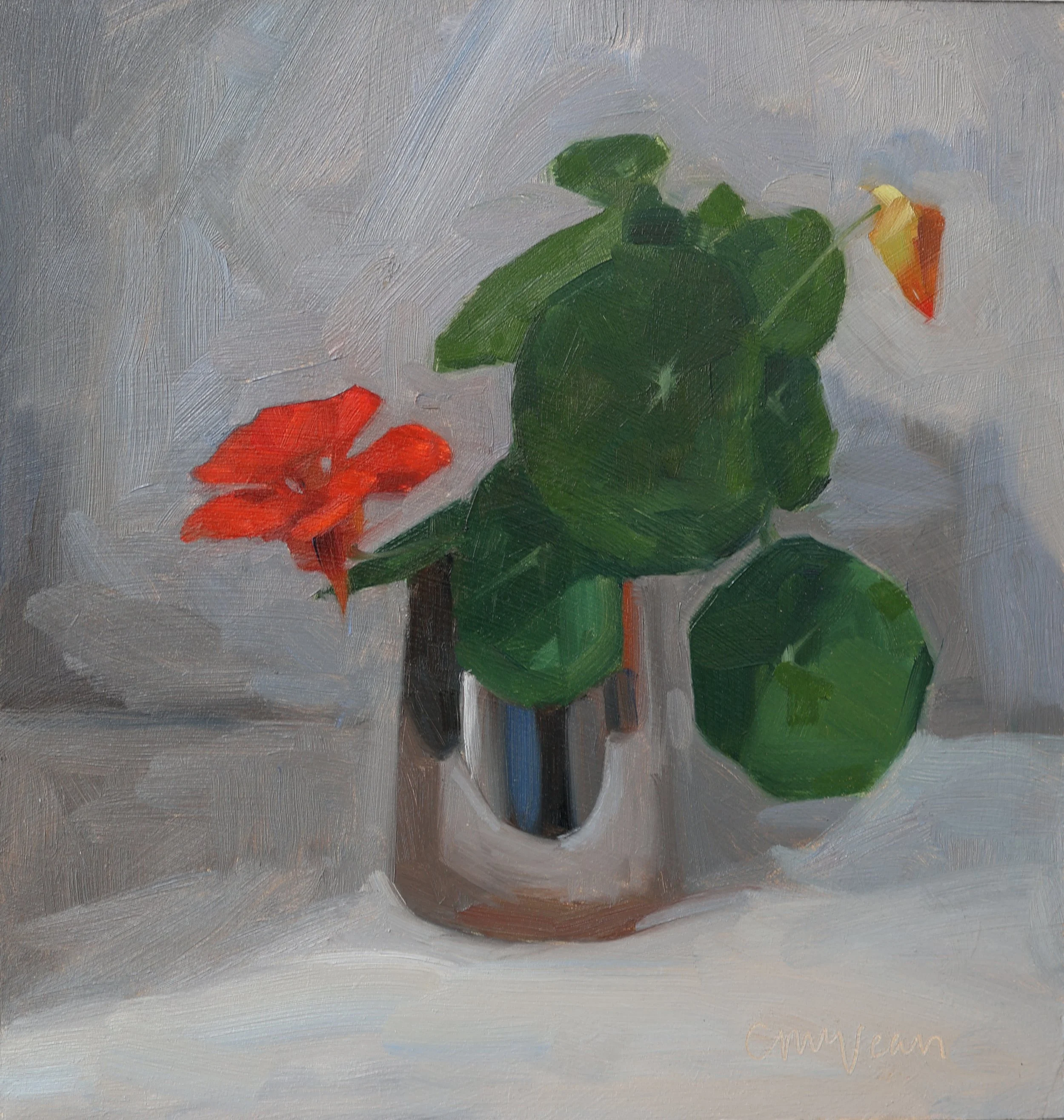 Nasturtium in a silver cup