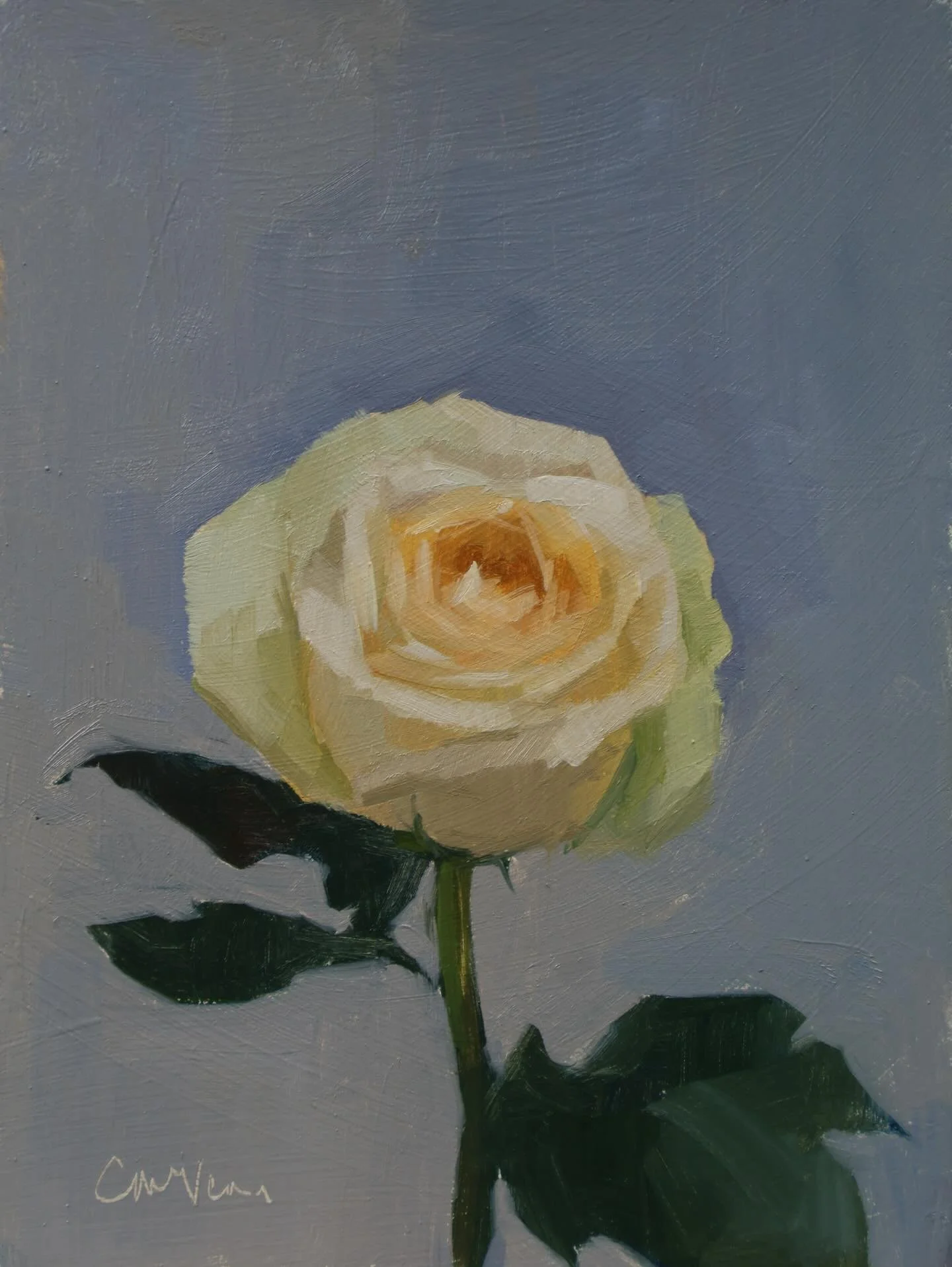 Small rose studies. 

I find working small helps me to experiment and try out new ideas. The size also limits the amount I can tackle which can be useful when breaking down complex subjects such a roses. These are painted on 6&rdquo;x8&rdquo; boards 