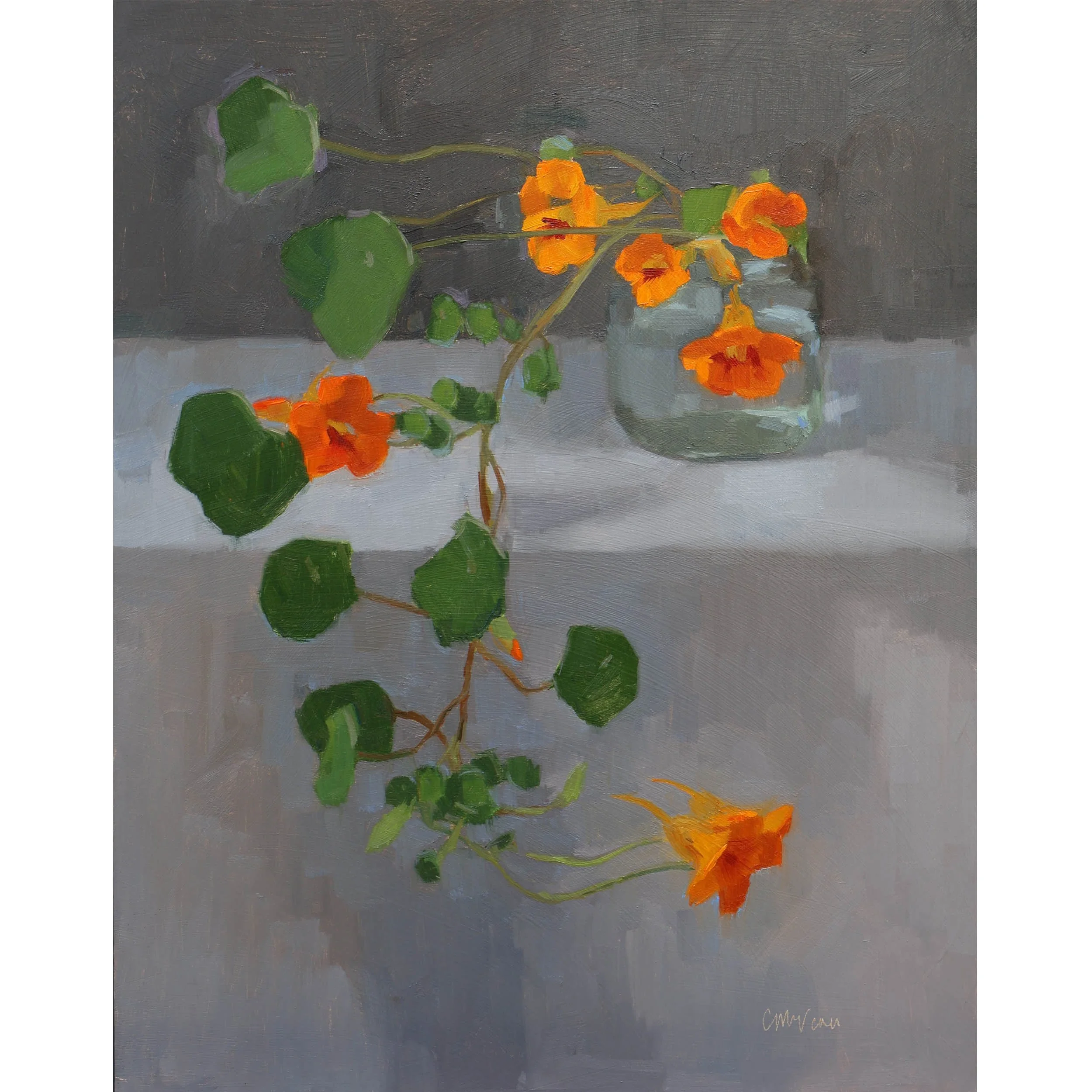 Trailing nasturtium | 2025