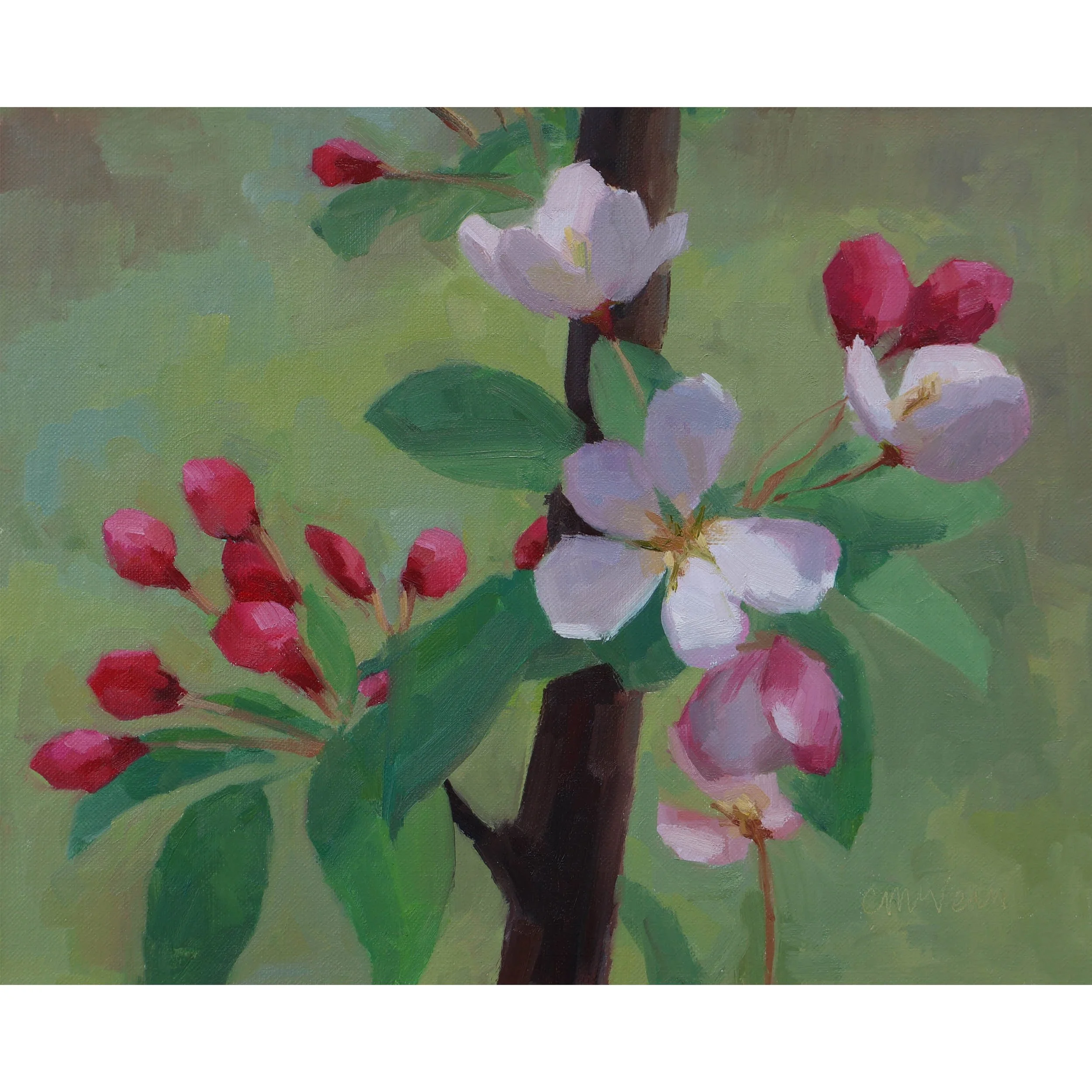 Early Spring blossom