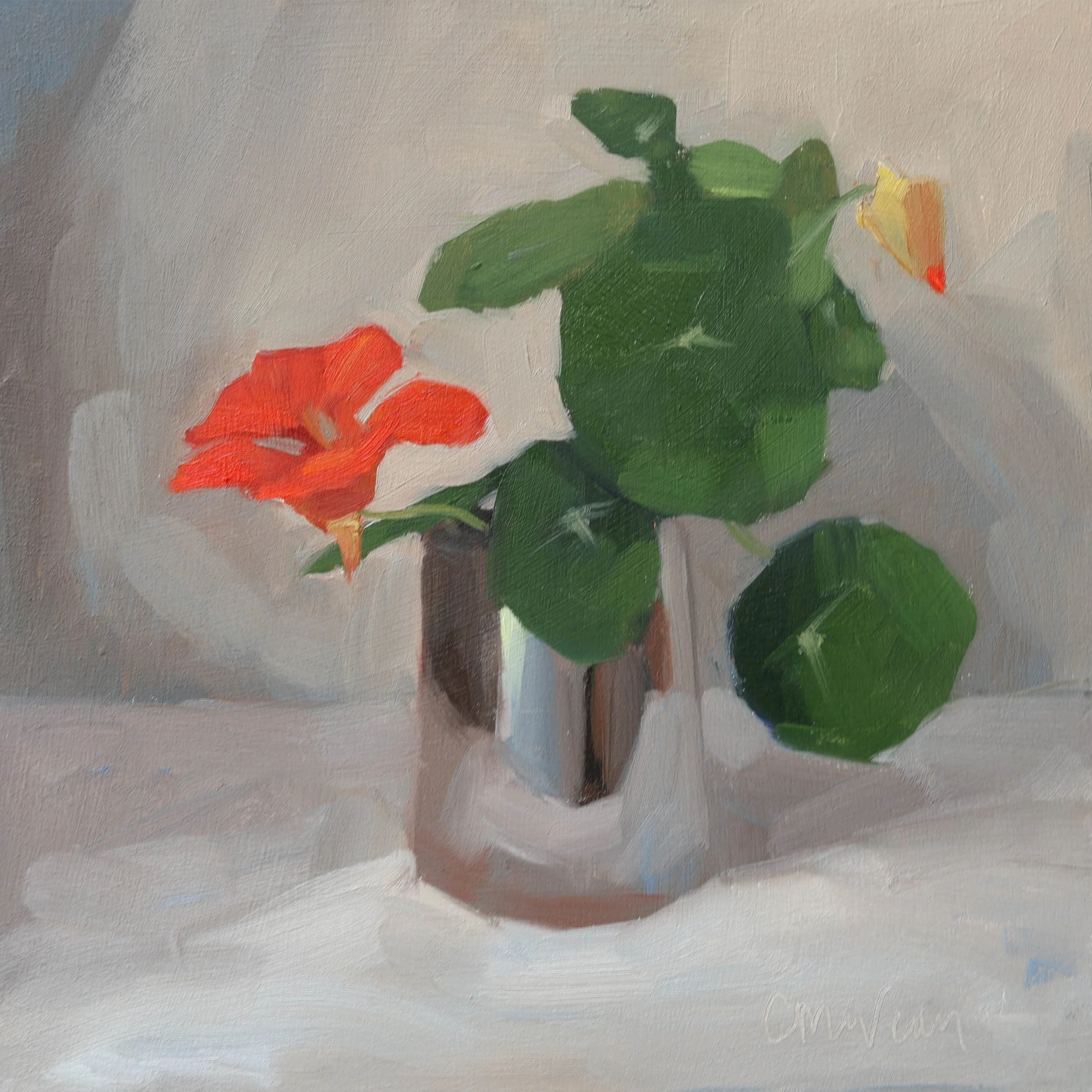 Red nasturtium in a silver cup | 2026