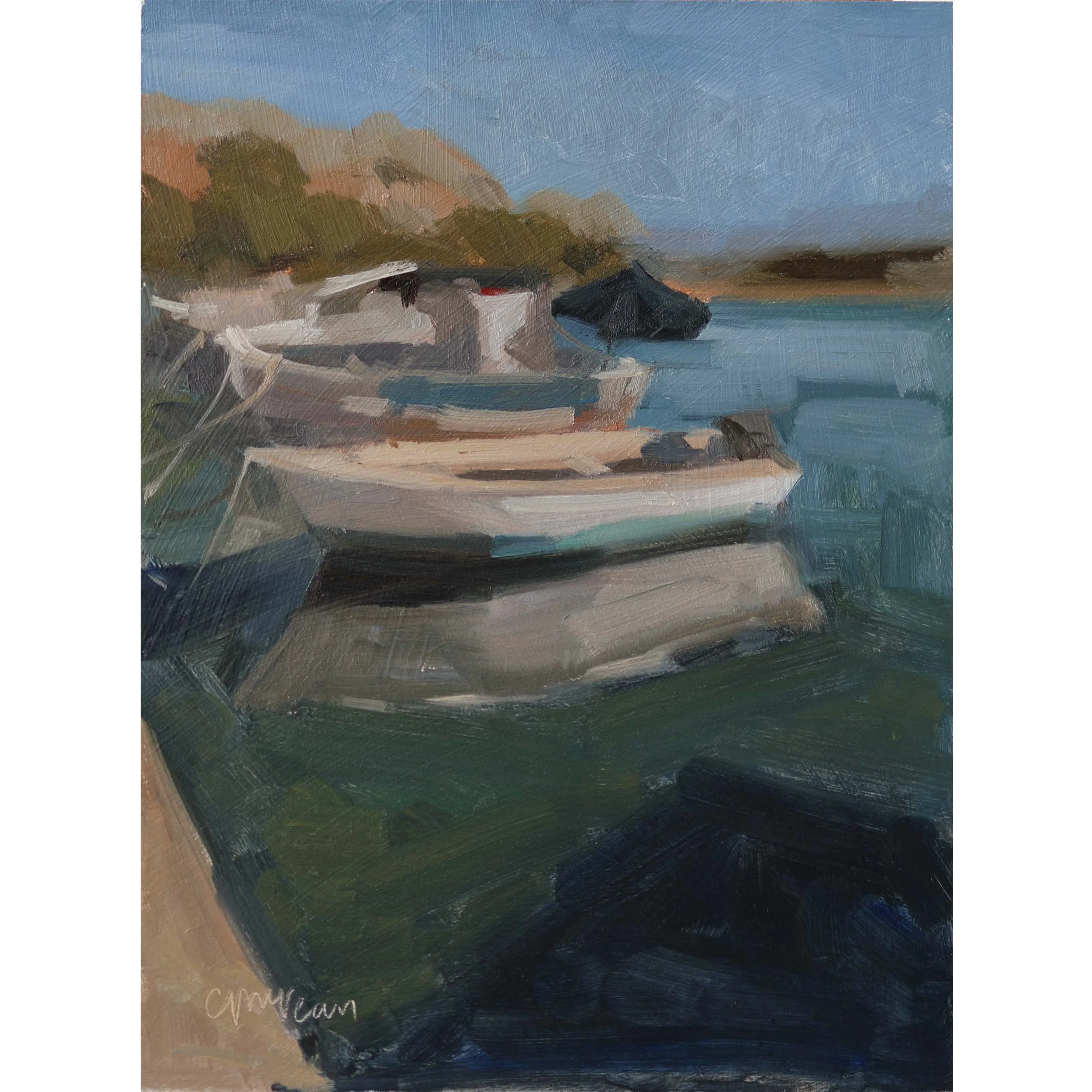 Harbour boats