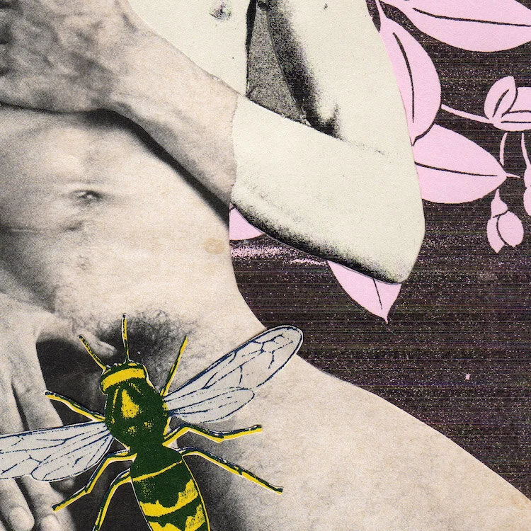 gay-art-for-sale-honey