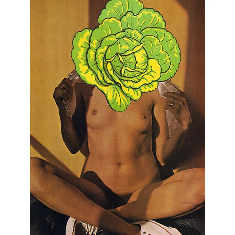 Veg-Vag-vi-gay-LGBT-queer-art-erotic.jpg