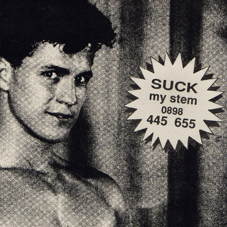 suck-my-stem-gay-queer-art-for-sale