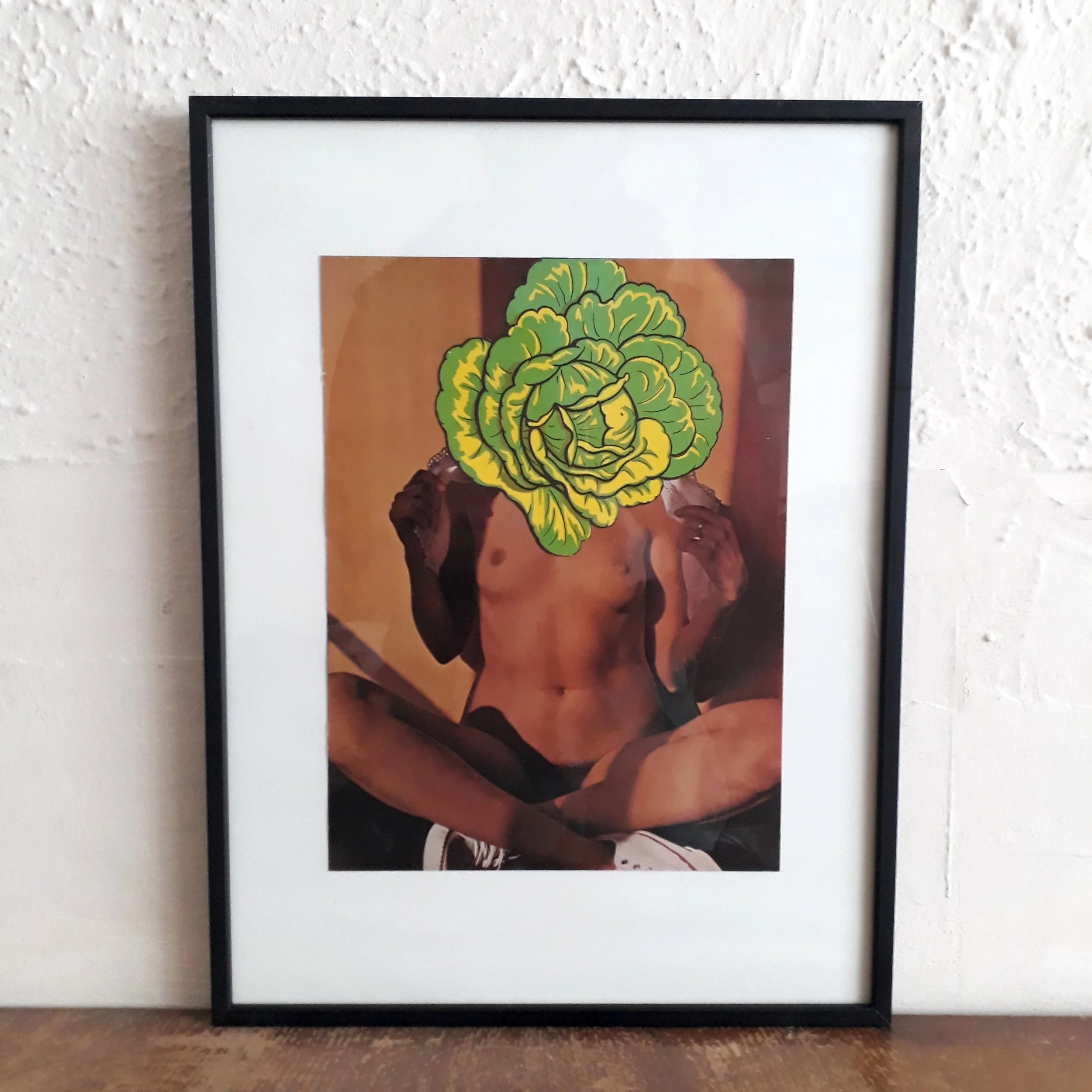 veg-vag-gay-queer-art-porn-erotic-frame.jpg