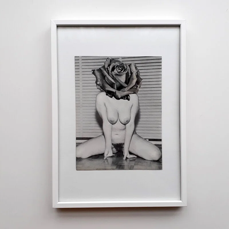 gay-queer-art-porn-erotic-flowe-girl-one.jpg .jpg