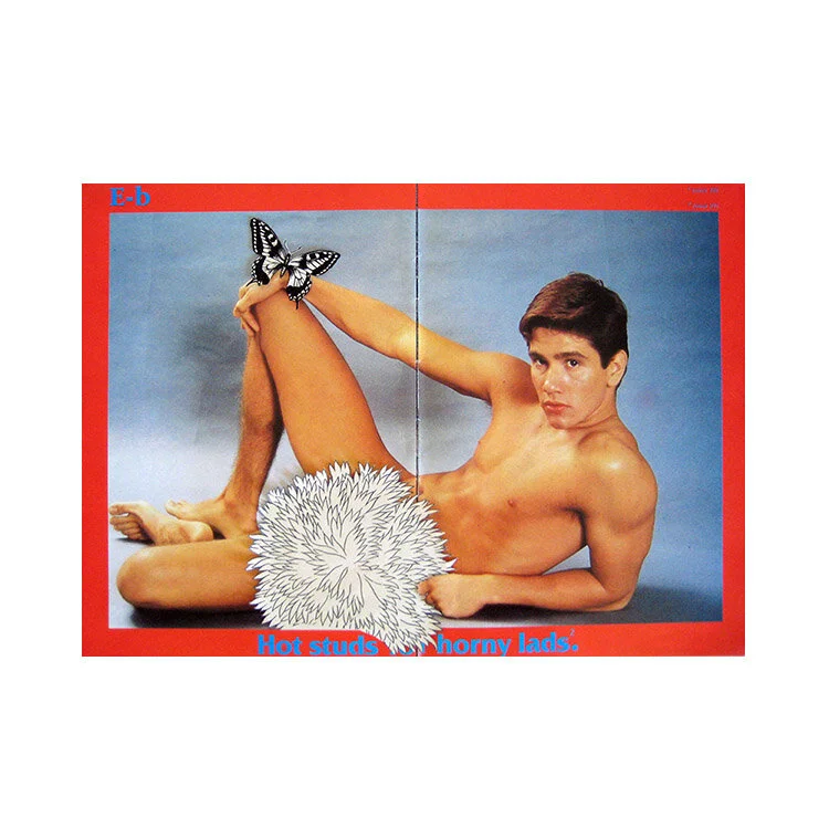 gay-art-for-sale-nice-bush