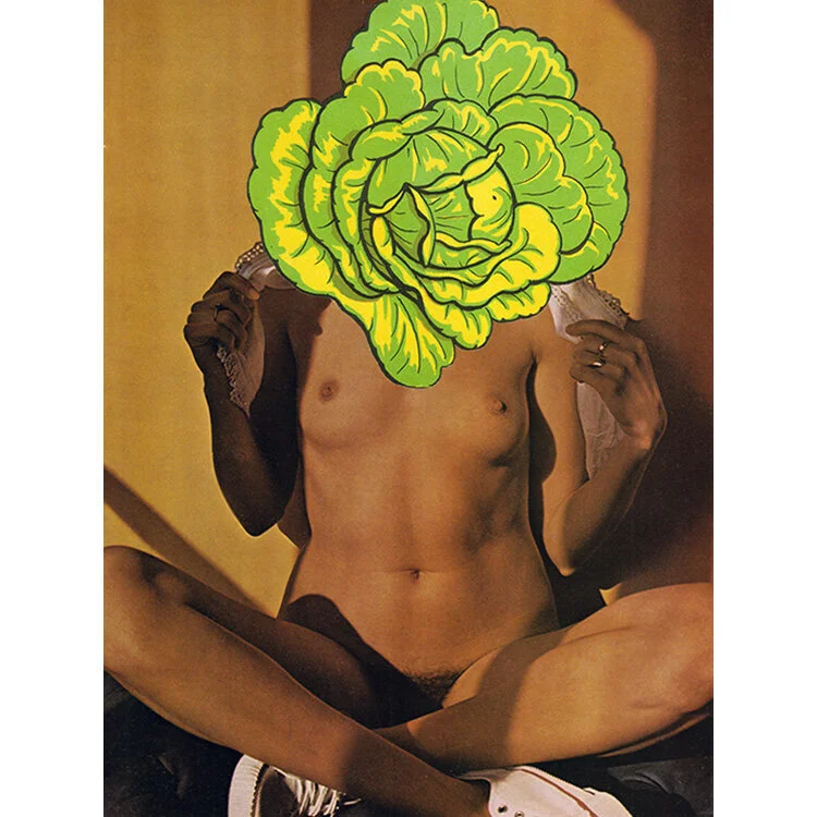 gay-art-print-veg-vag.jpg