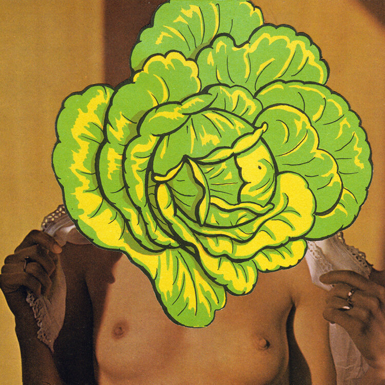 gay-art-print-veg-vag-2.jpg