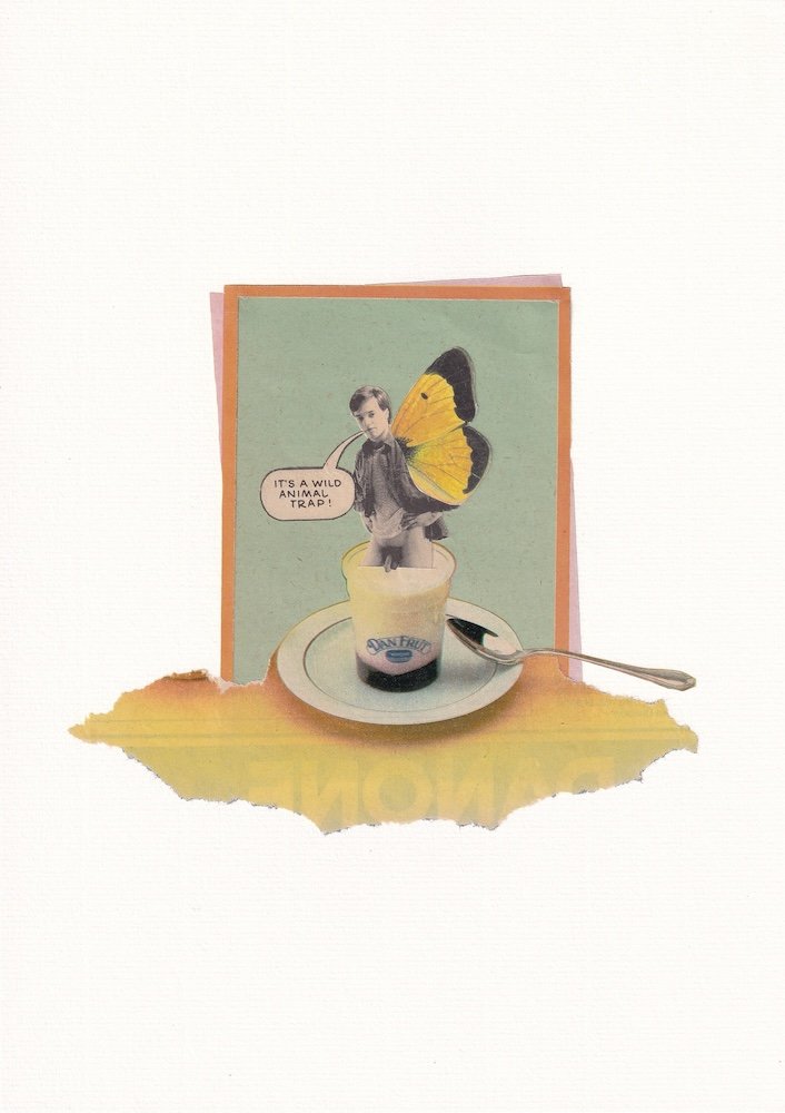 Wild Animal Trap, 2014.