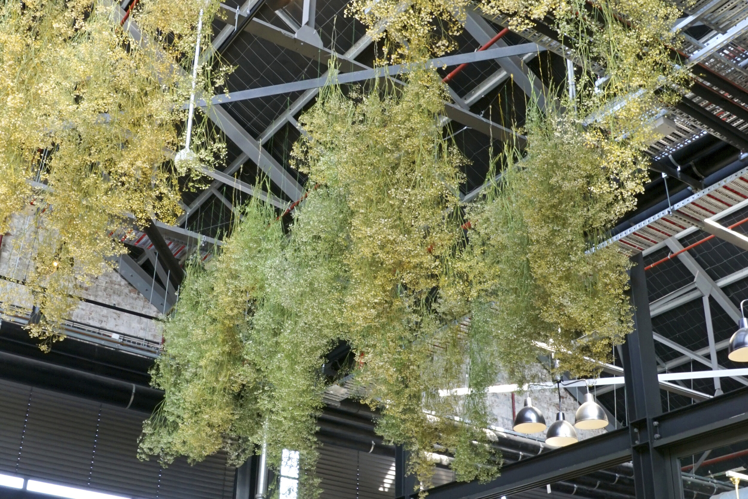 FS_WEB_Projects_Tramsheds_Loose Leaf_5.jpg