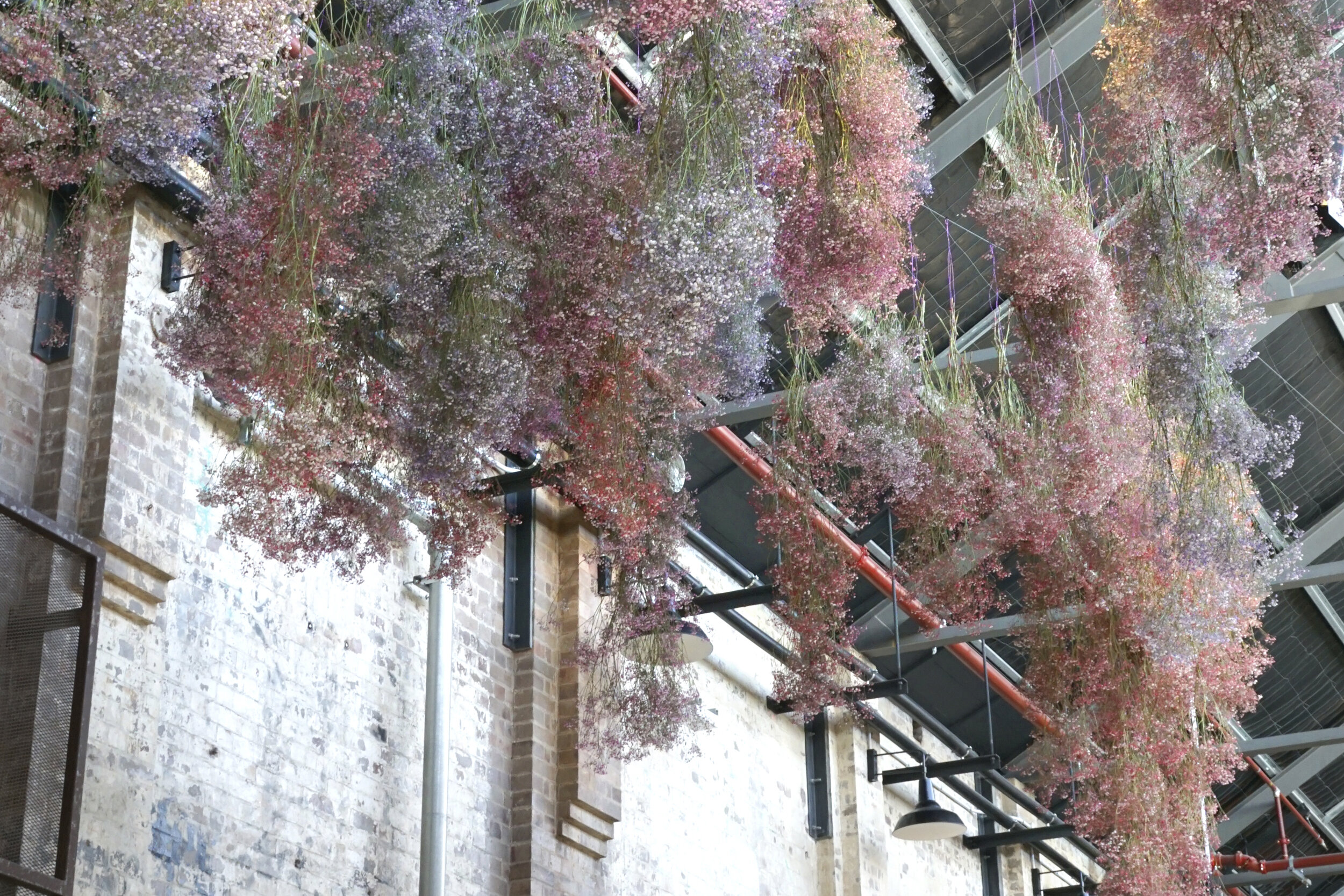 FS_WEB_Projects_Tramsheds_Loose Leaf_2.jpg