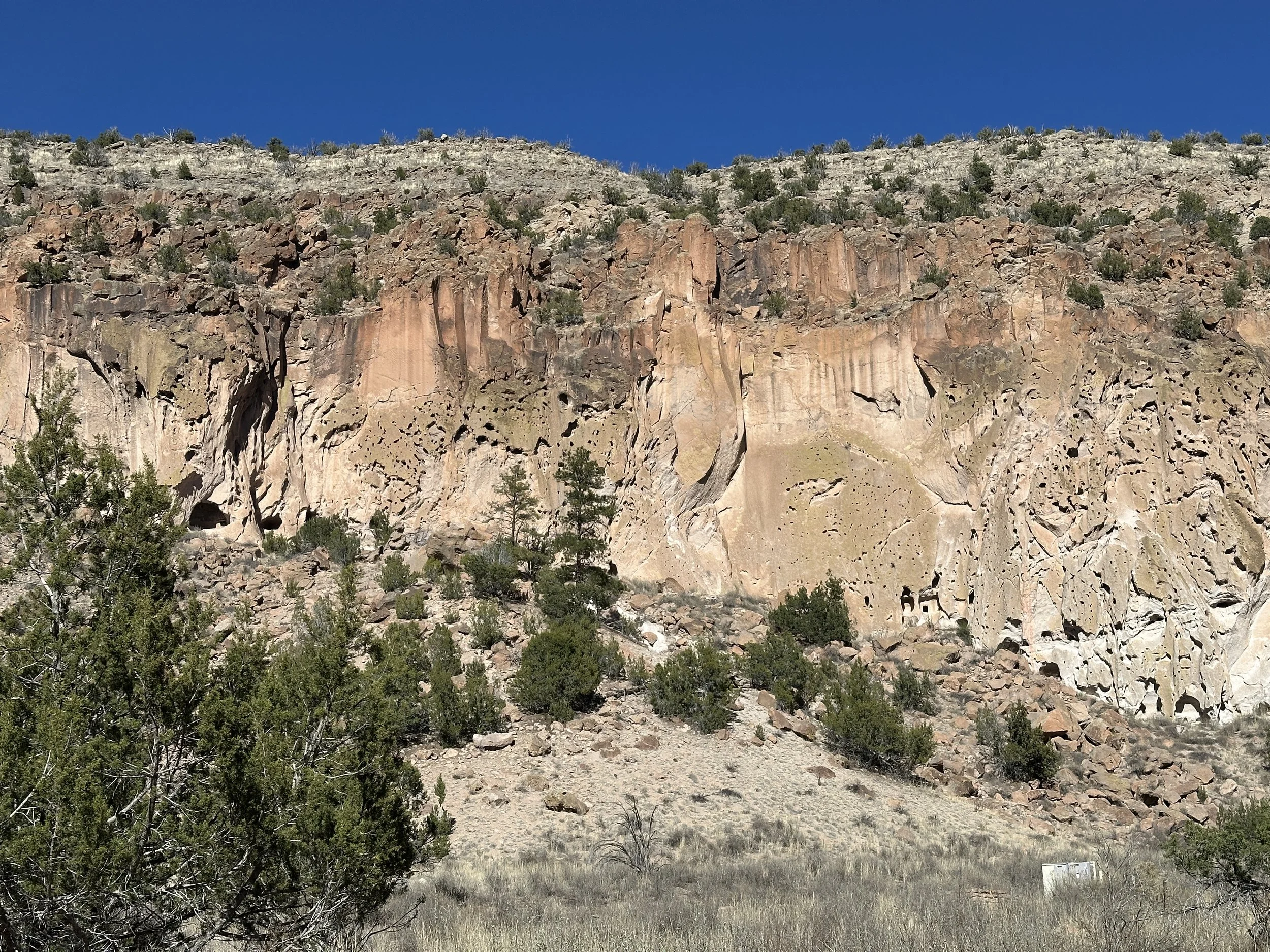 Drinking in the High Desert