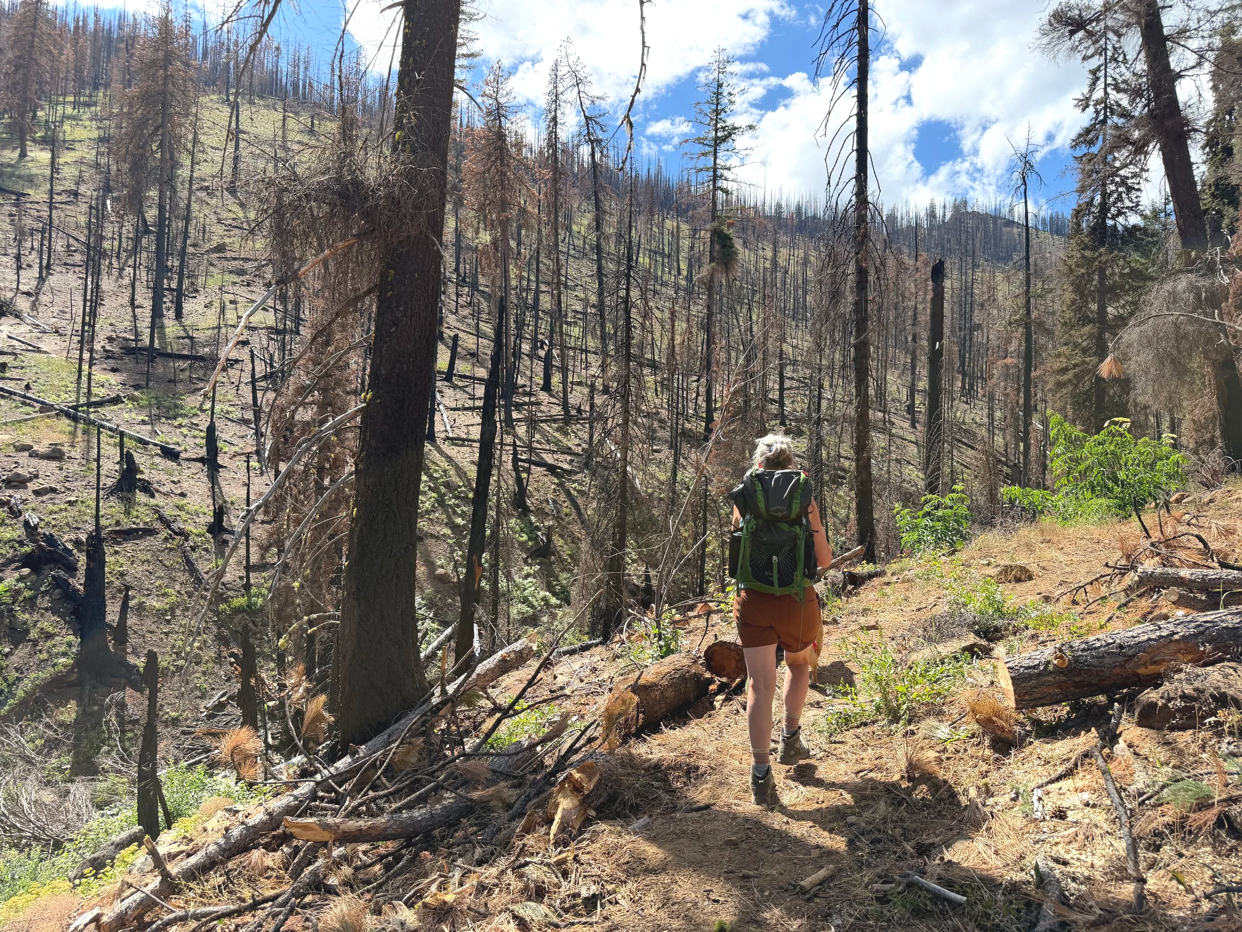 Feeling the Burn in the North Cascades