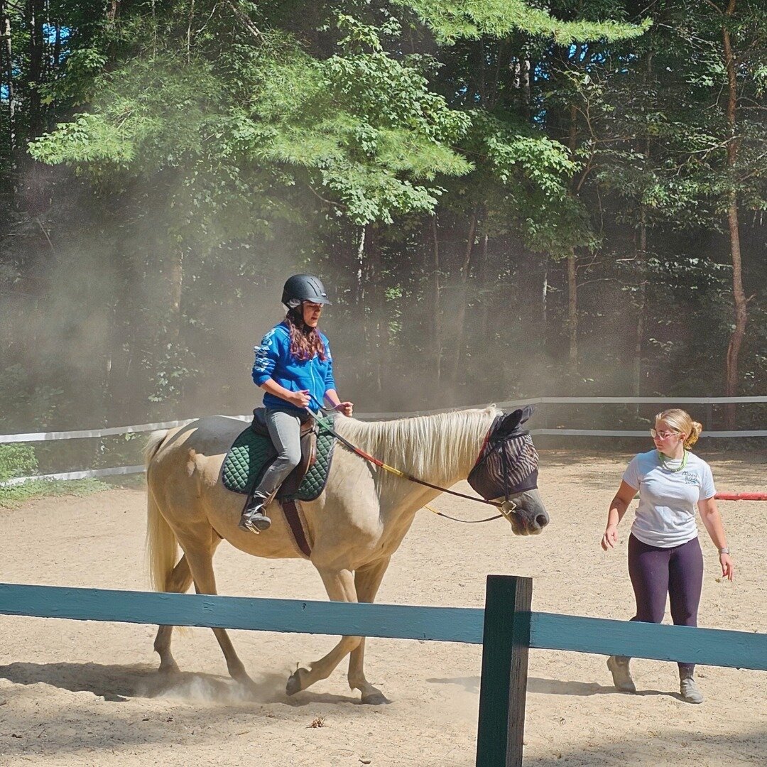 Horses make our hearts gallop with joy 🐎❤️