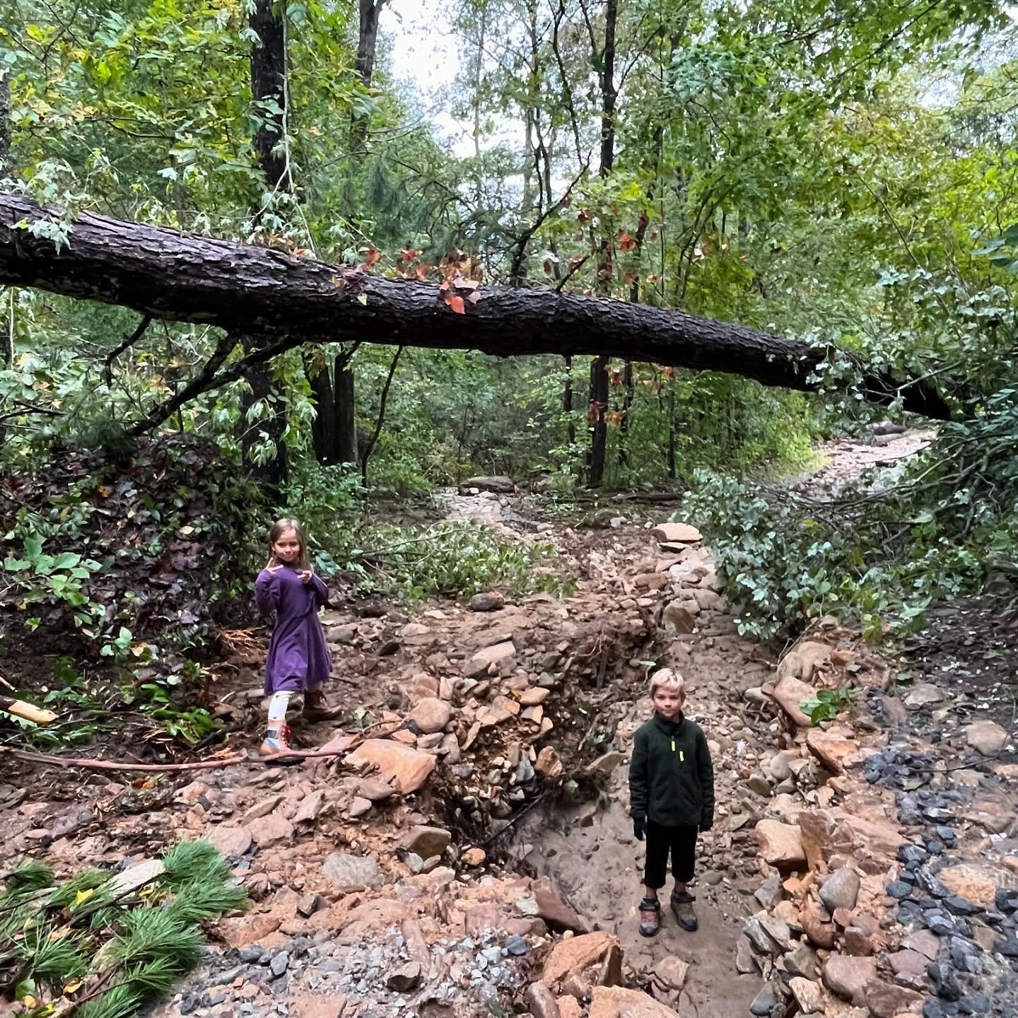 I&rsquo;ve sat down to write this post so many times and there just aren&rsquo;t words to describe the devastation that was caused by Hurricane Helene last week 

Thank you to everyone who checked in on us- We are safe, and my family in Burnsville is