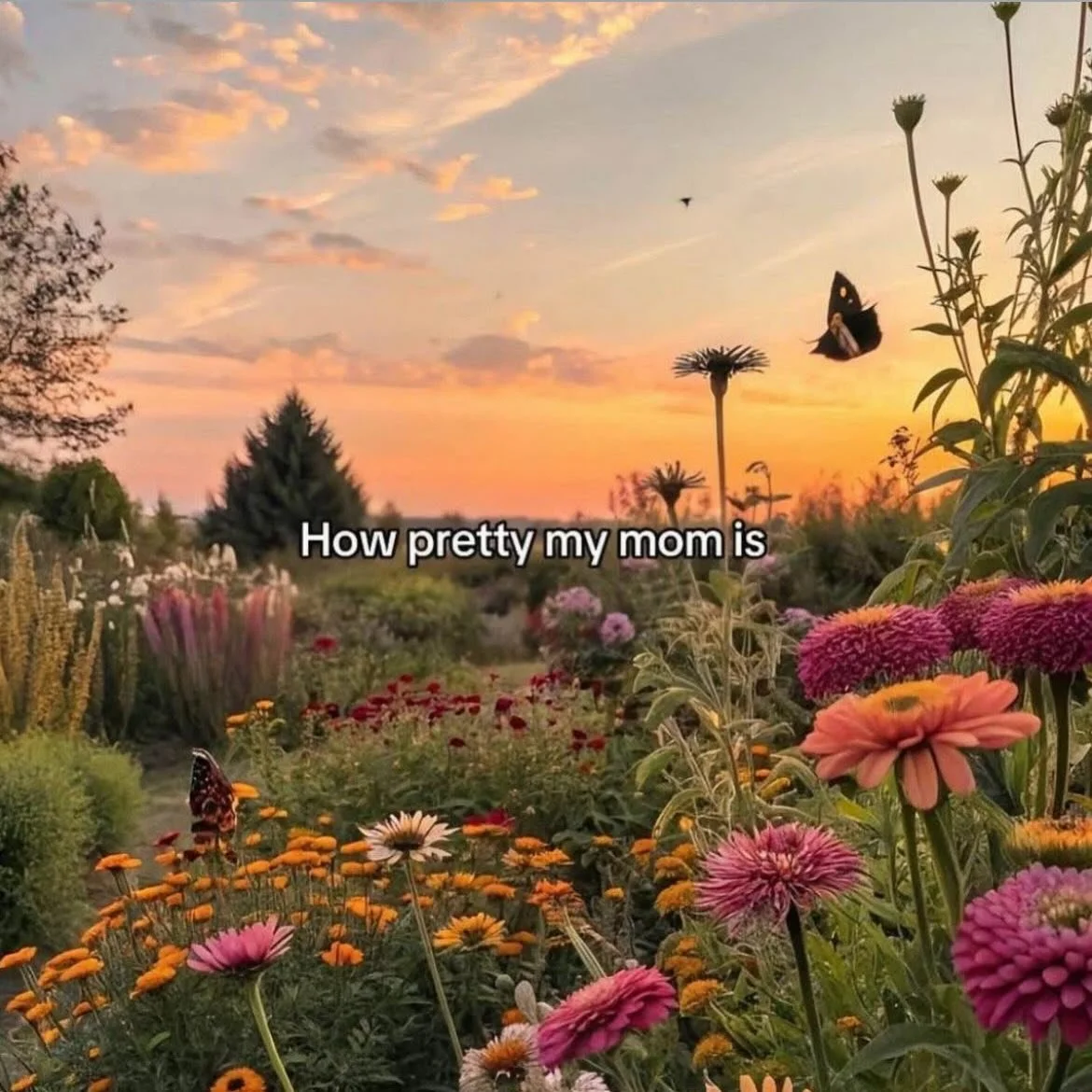 We all deserve to be treated to consistent womb &amp; breast care~ 

therapies that nurture &amp; nourish us through the seasons of womanhood 🌷

My books are open &amp; for a limited time when you book a with me you&rsquo;ll receive a gift~ 

🌻 min