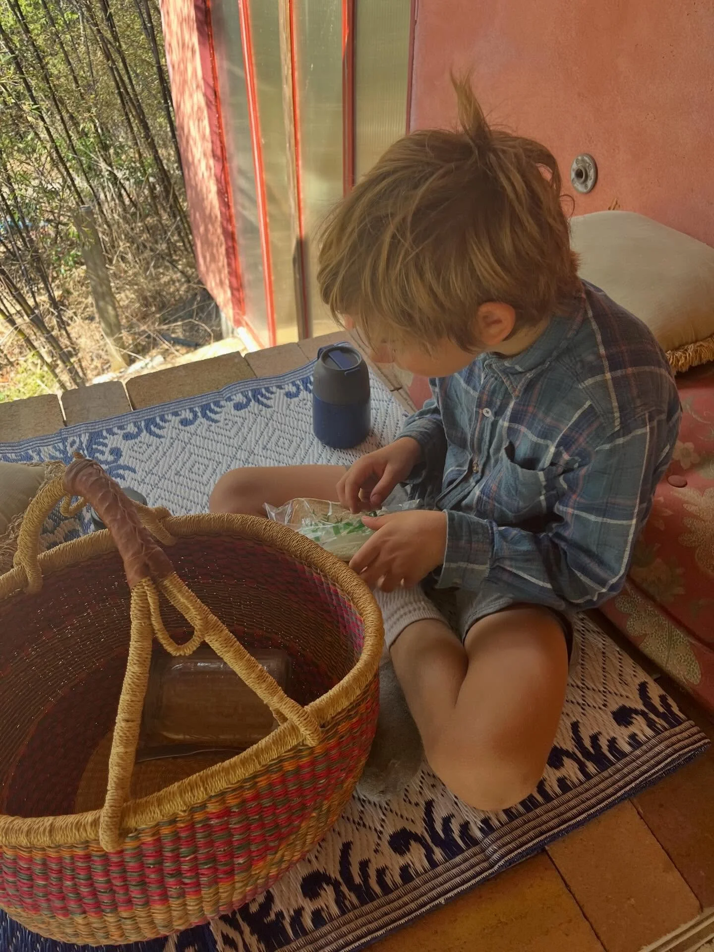 🌻How do you define wealth?

How do you protect your assets?

Who will care for your children in &ldquo;the worst case&rdquo; scenario?

Is this in writing anywhere?

These are things that I&rsquo;m constantly asking myself as a homeschooling mother 