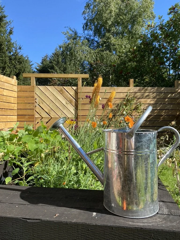 BWMA fence in spring.jpeg