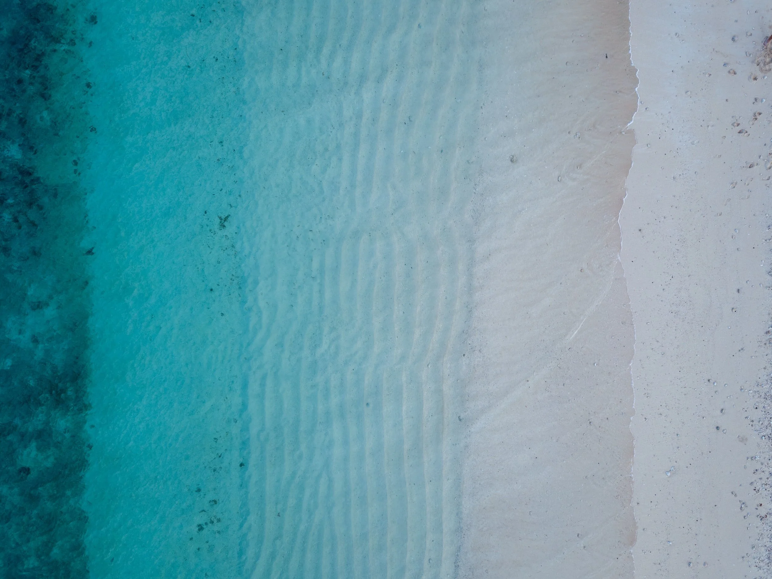 Making Transitions