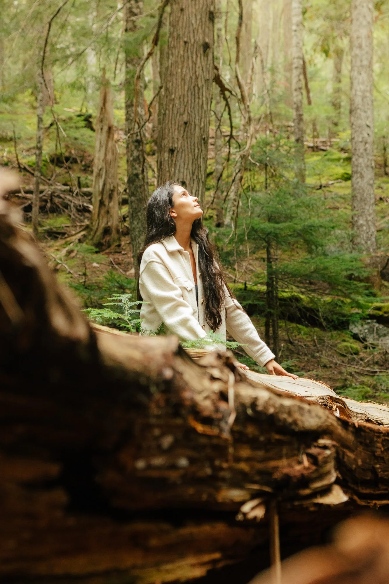 WEG Summer_09-2024_John Looy-03.jpg