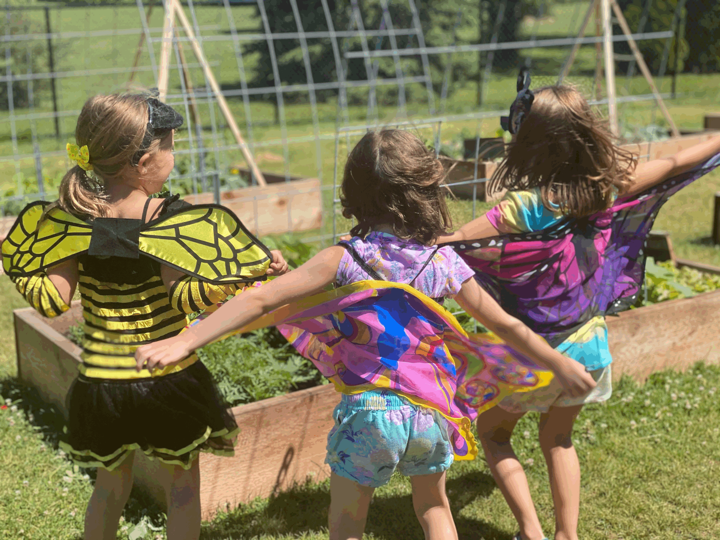 Pollinating Owls