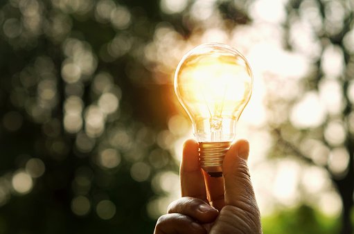 Did Edison Fail or Flourish?