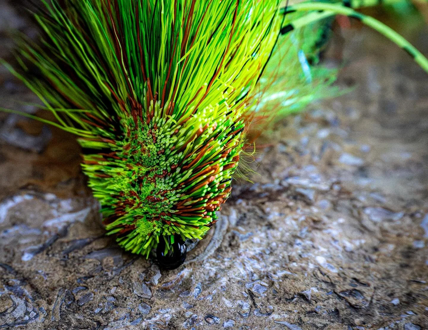 Double the joints, double the chaos.
#flytying #flyfishing #articulationnation #deerhair #flytyingjunkie
