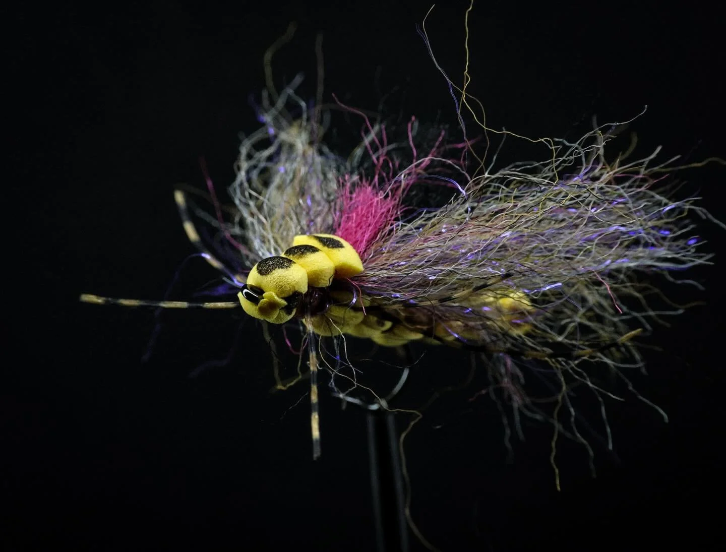 First successful @charliesflybox Morningwood special. This is a fun one if you haven’t tried it before got for it. This is going torment some red eyes this summer.
#iknowcharliefncraven #flytying #flyfishing #dryfly #stonefly #madeintexas