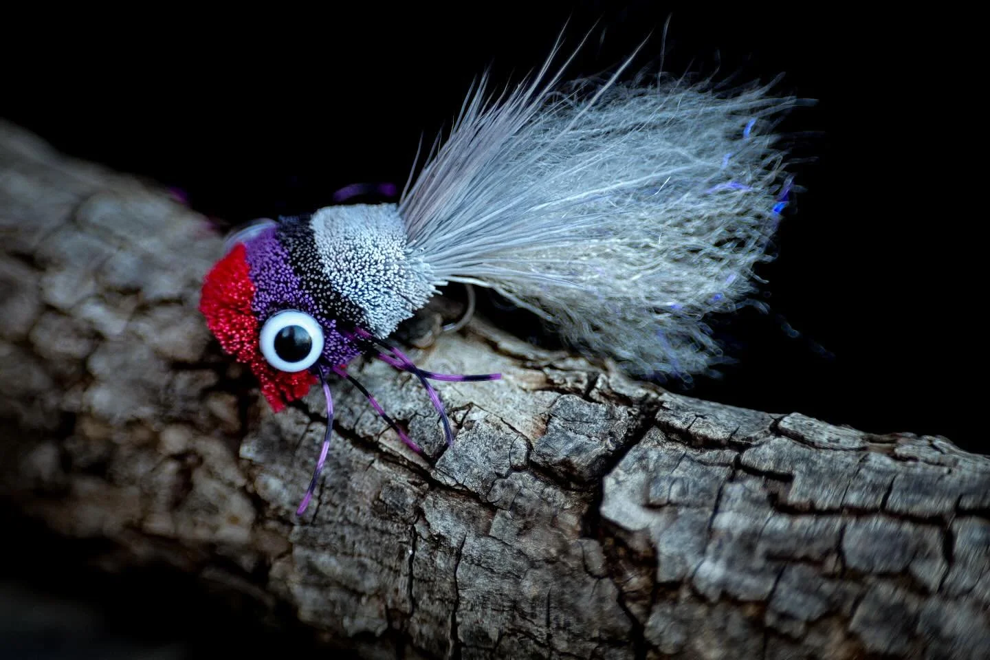 Small Creek Popper
Size 4 @ahrexhooks TP610, spun up with some beautiful deer hair from @jvarner982 
Perfect little topwater snack for bass and creek bronzebacks. 💥
#flytying #deerhairpopper #smallmouthbass #flyfishing #bassonfly #topwaterfly #ahrex