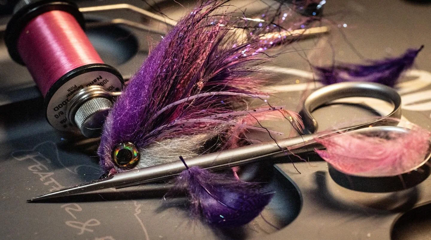 Mid column game is on. The deadly @castfishing.co echo amethyst was the inspiration for this beauty. 

#flyfishing #flytying #streamers #bassflies #articulationnation