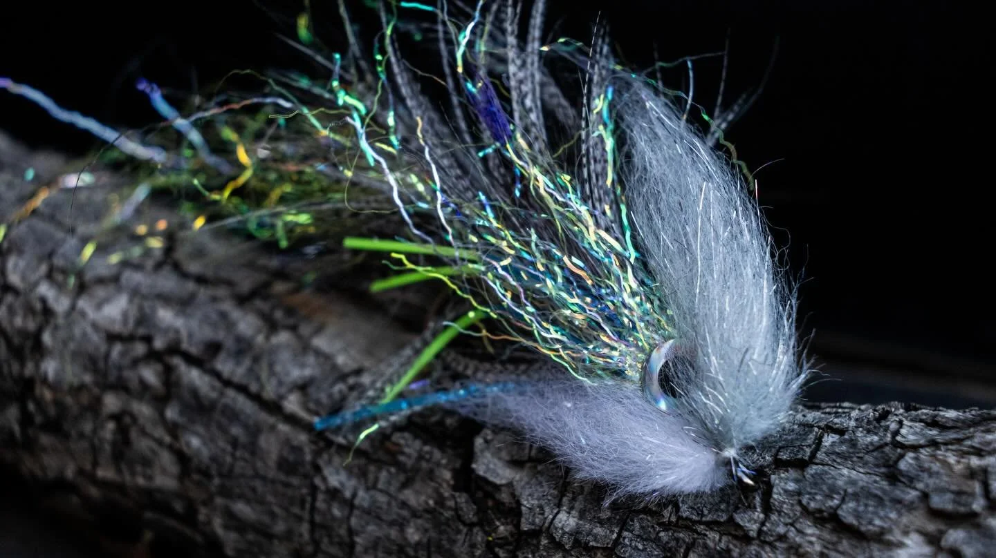 2/0 Swamp Donkey in shad, perfect combo! 👌 Dialed in for that mid-column strike&hellip; #customflies #articulationnation #bassfishing #flytying #predatorflies