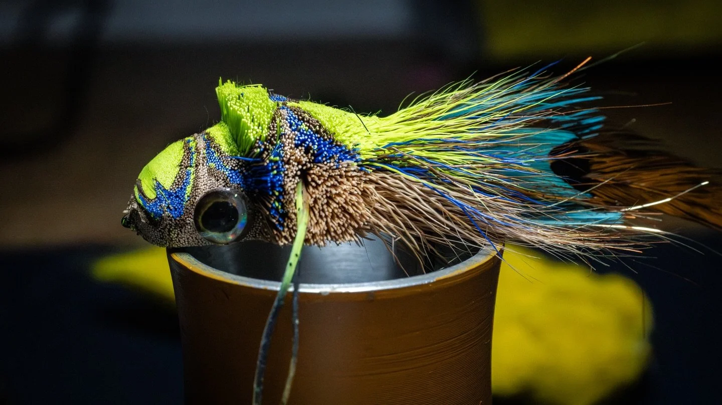 Little diver with a descent pack. Thanks @rowleybenchwork !!
#deerhair #flytying #flyfishing #bassonthefly #madeinusa