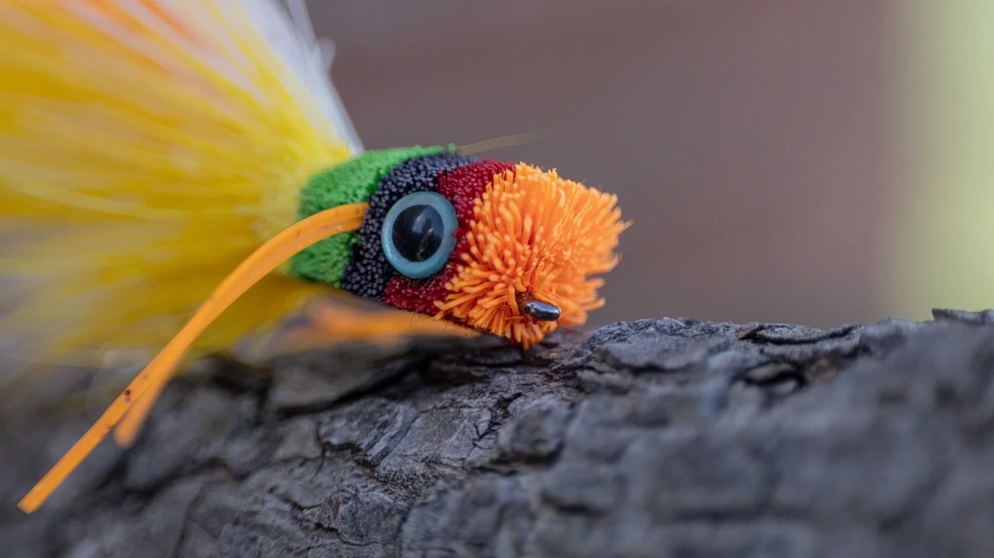 Little Fruit Cocktail Whitlock hair bug. 

#flytying #flyfishing #deerhair #deerhairfly