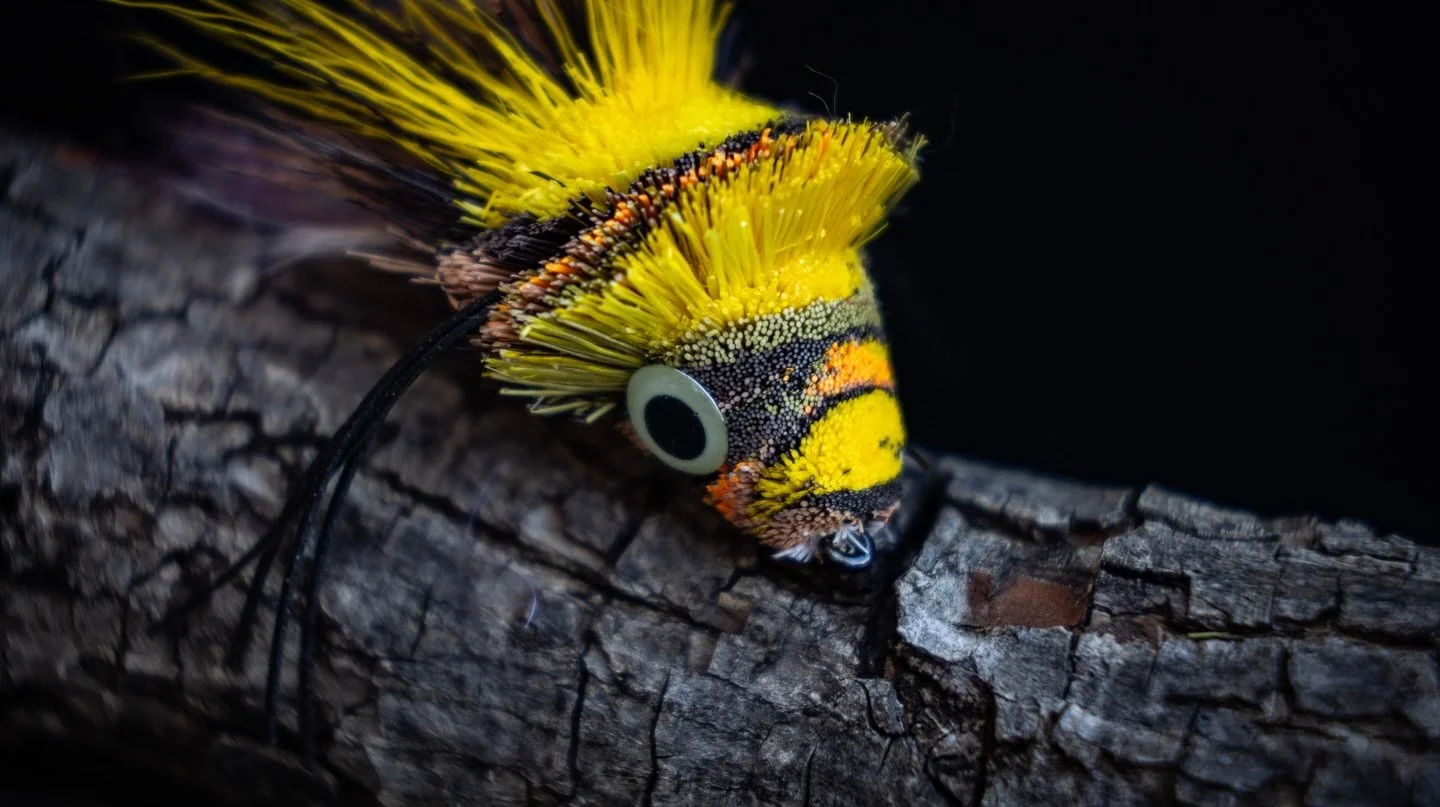 Flies built to fish hard.

Designed for violent eats and heavy cover.

That&rsquo;s the Feather &amp; Fly way.

#flyfishing #bassbugs #warmwaterflies #flytying #bassonthefly