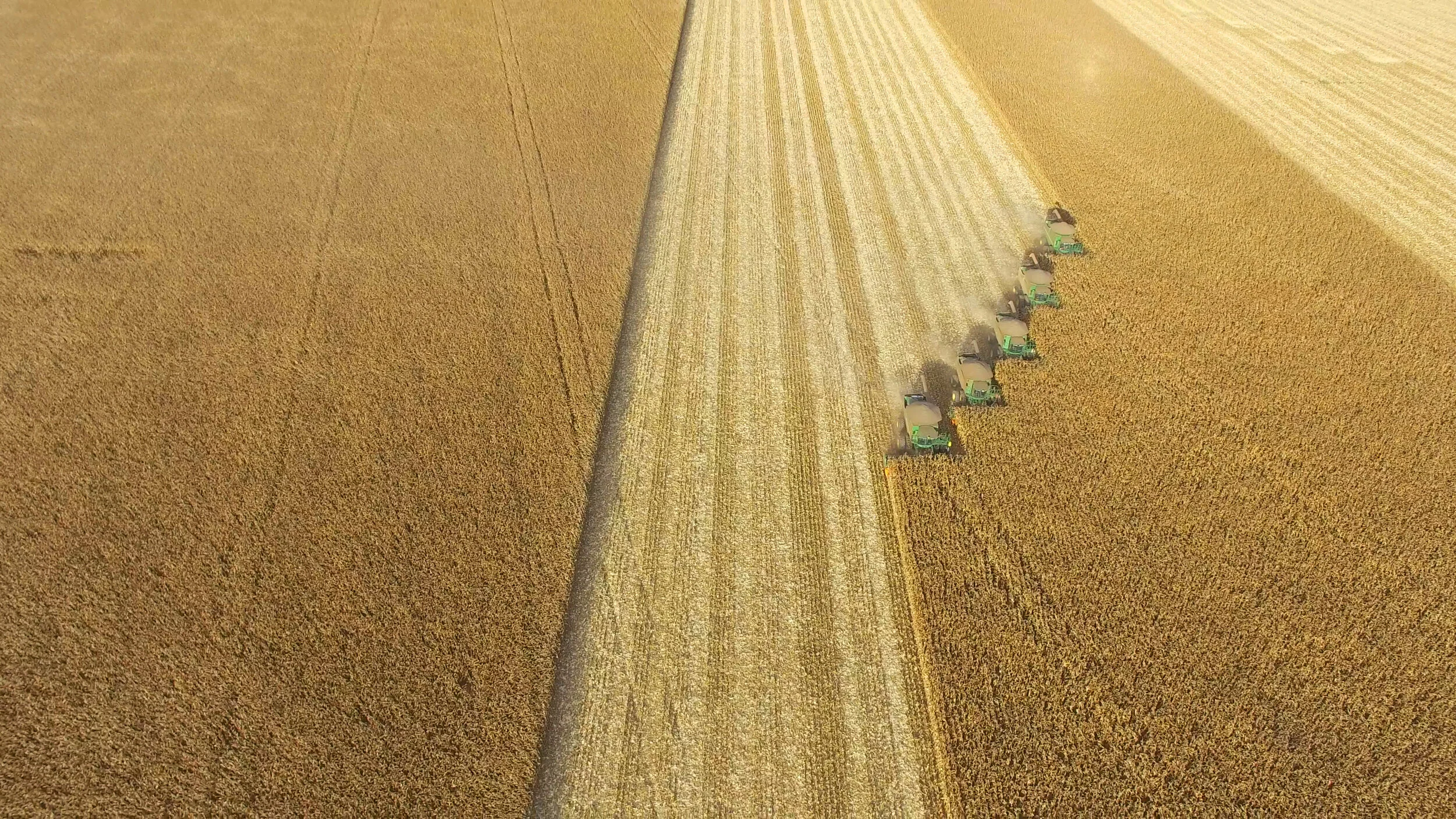 Brazilian Farmland Summit Agricultural Group