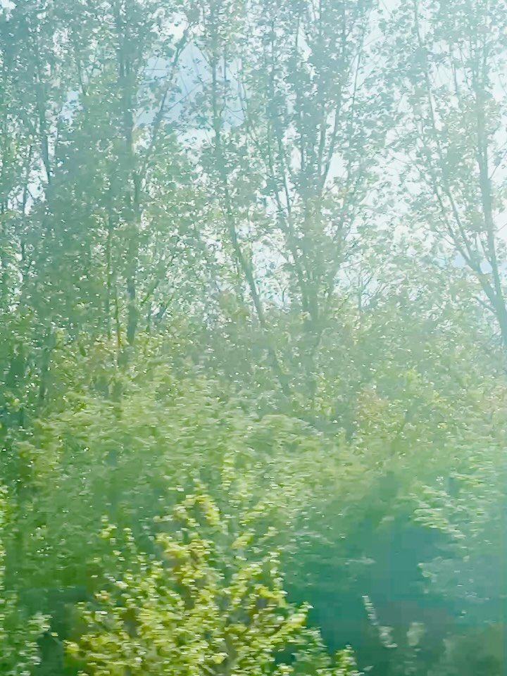 A last minute dash to Amsterdam to make the most of the kids&rsquo; extended Easter holiday. This selection makes it look like it was mostly art-based, but in reality it was mostly eating, pedalling and seeing the sights. What a place!

Delighted t