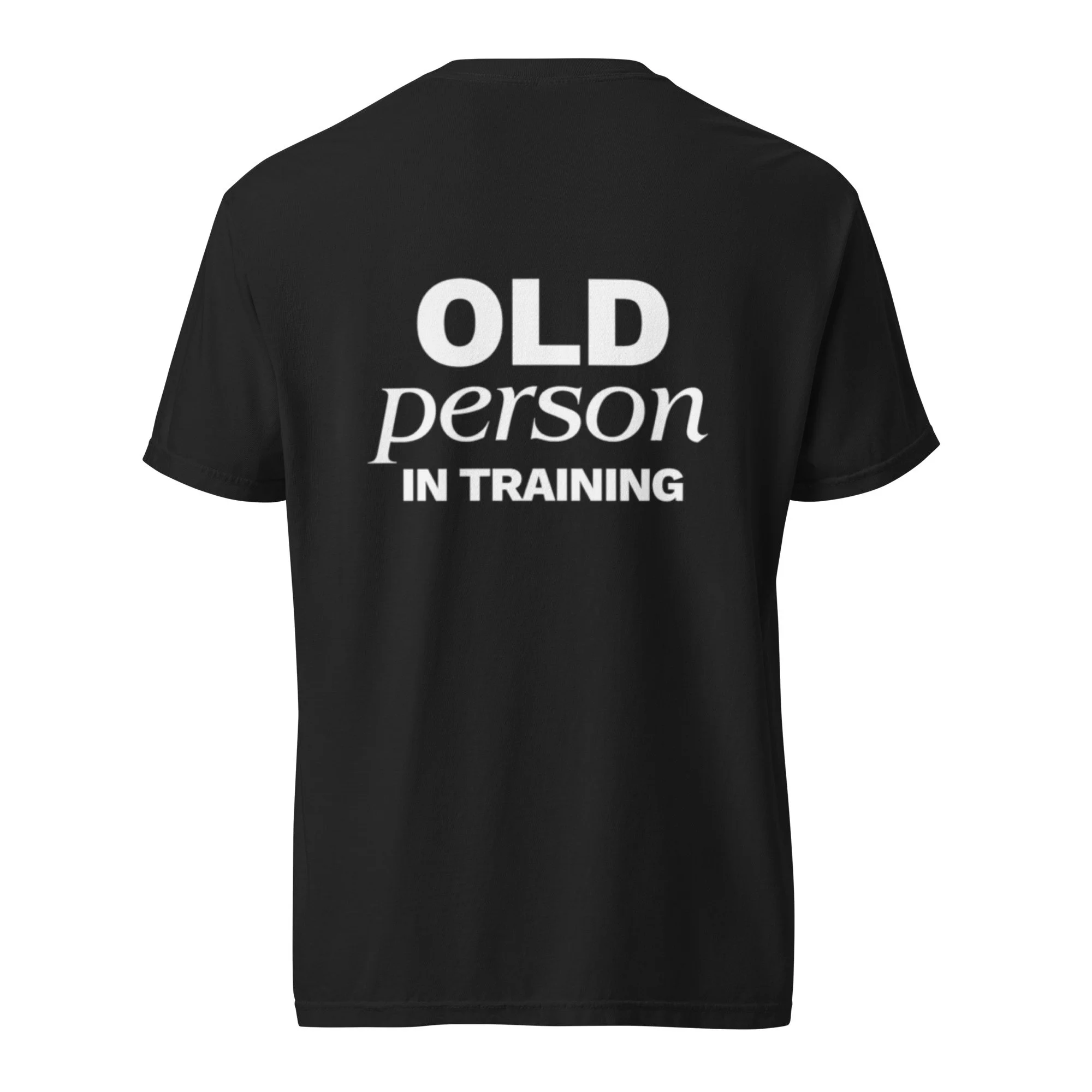 unisex-garment-dyed-heavyweight-t-shirt-black-back-690aa9750f942.jpg