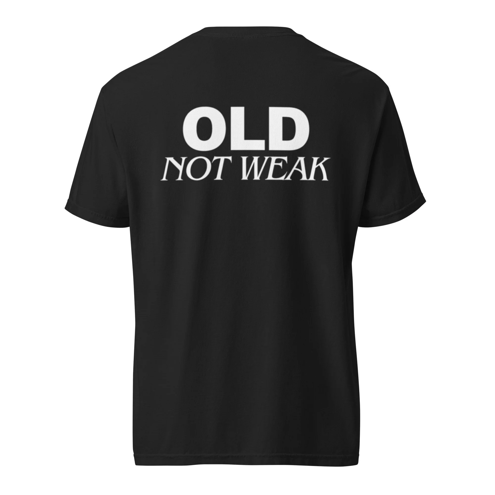 unisex-garment-dyed-heavyweight-t-shirt-black-back-690aa8316e53f.jpg