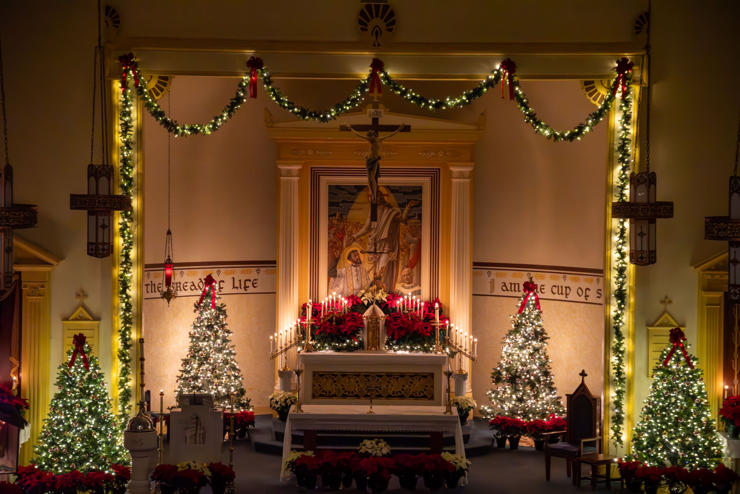 20251221_SFXHC Christmas Decorations at Night-13.jpg