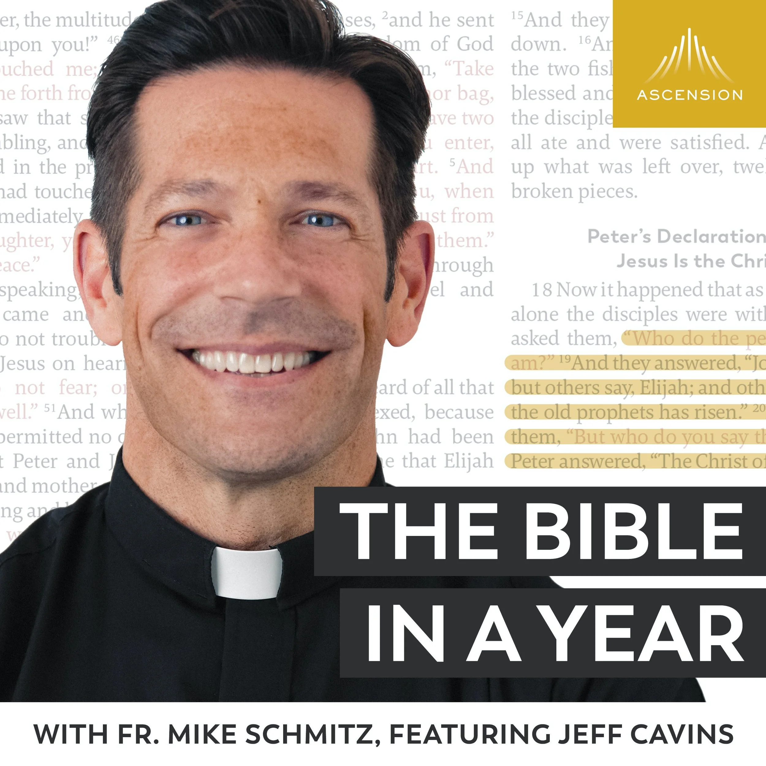 The Bible in a Year
