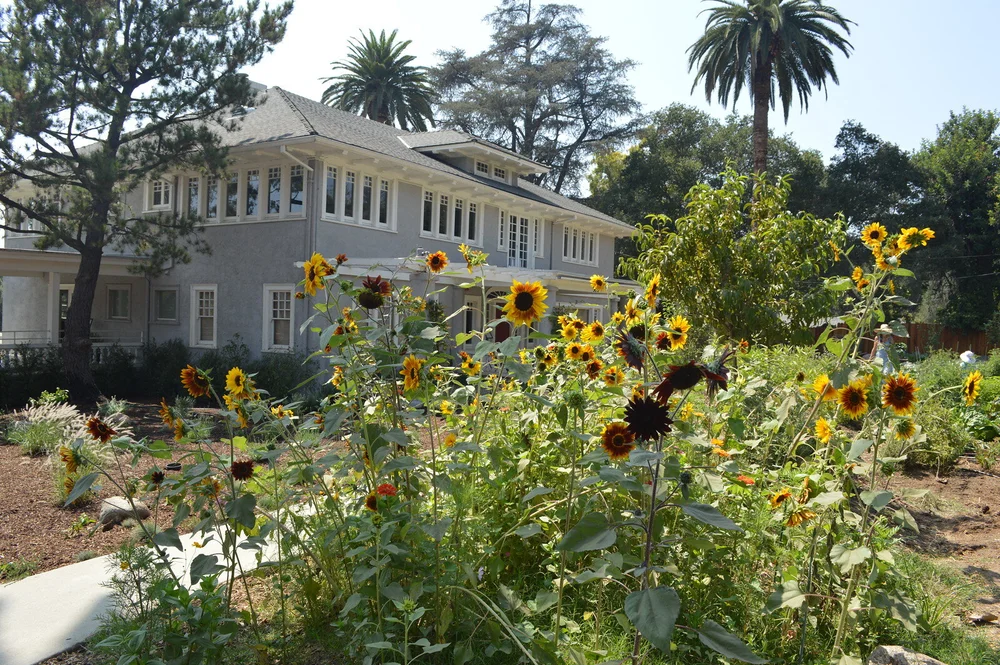 Services 2 — Pasadena Waldorf School