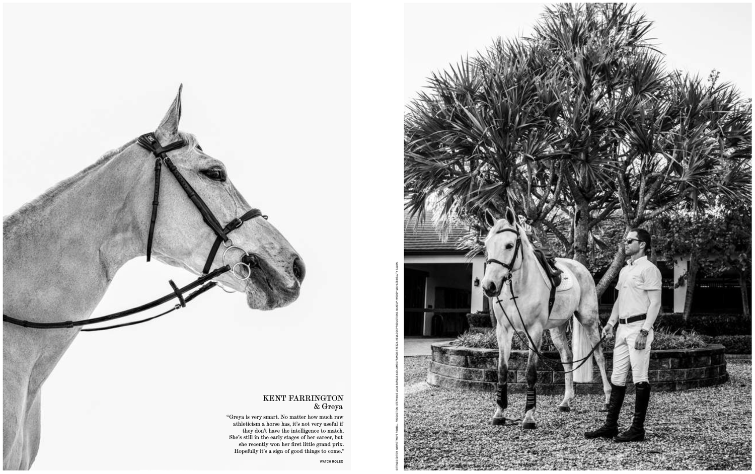 Palmer Magazine — Horses and Riders