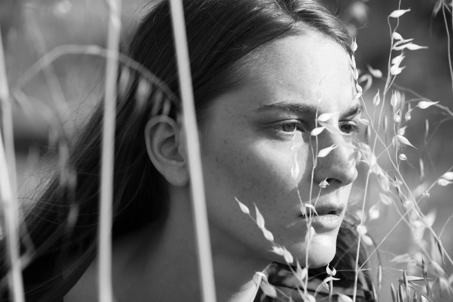 FATH Skincare — The Ancients